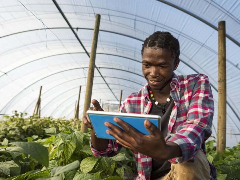 Concours d’Entrée au CAP Agricole 2024